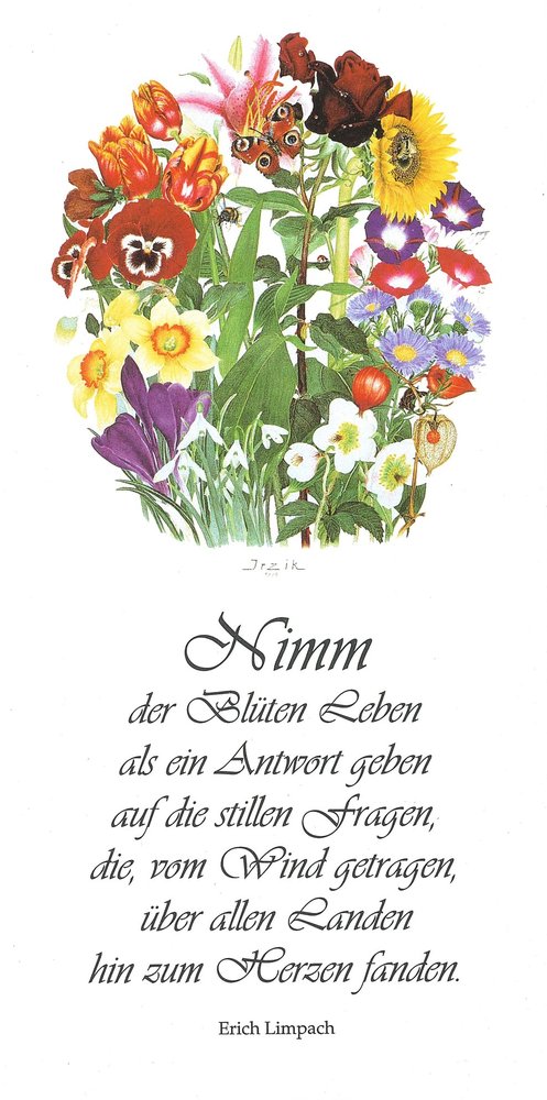 Klappkarte farbig von Erich Limpach: Nimm der Blüten Leben als ein Antwort geben (Vorderseite) Klappkarte farbig von Erich Limpach: Nimm der Blüten Leben als ein Antwort geben (Vorderseite)