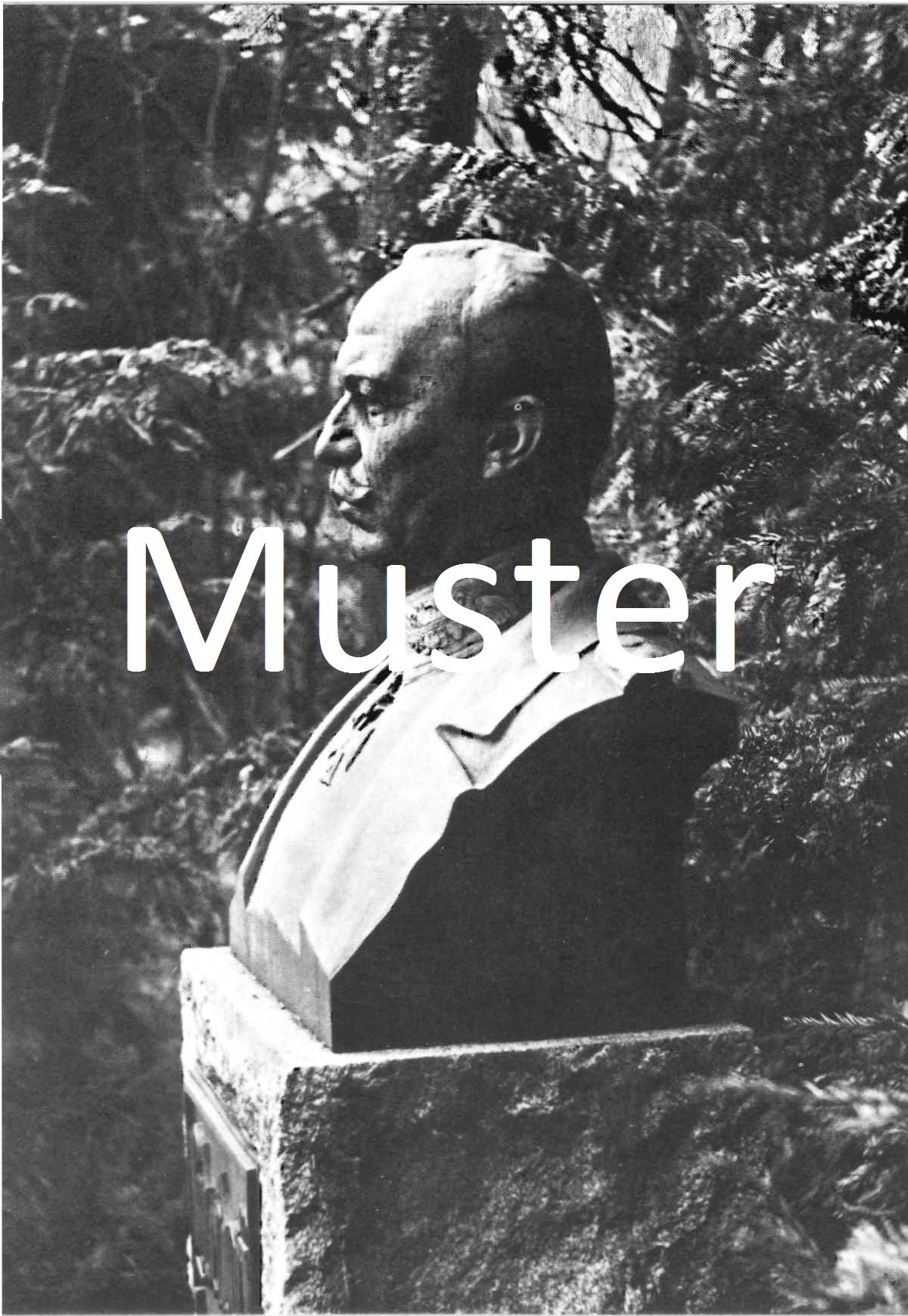 Büste auf dem Grab Erich Ludendorffs (Bild-Postkarte)
