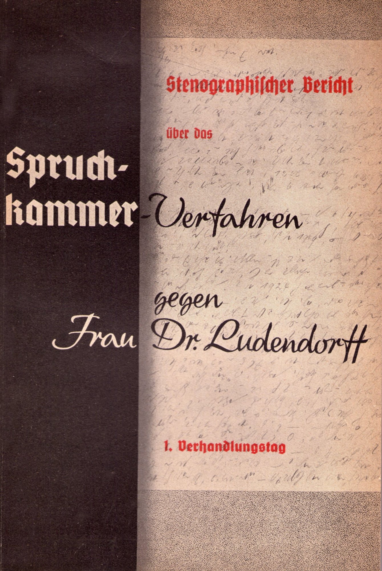 Der stenographische Bericht über das Spruchkammerverfahren gegen Frau Dr. M. Ludendorff Buchcover: Der stenographische Bericht über das Spruchkammerverfahren gegen Frau Dr. M. Ludendorff