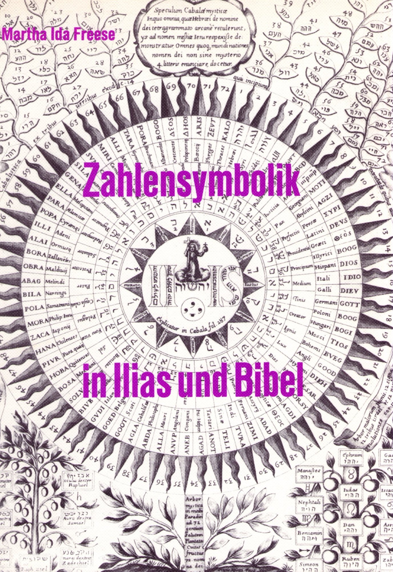 Frese, Martha: Übereinstimmende Zahlensymbolik in Ilias und Bibel Buchcover: Übereinstimmende Zahlensymbolik in Ilias und Bibel von Martha Frese