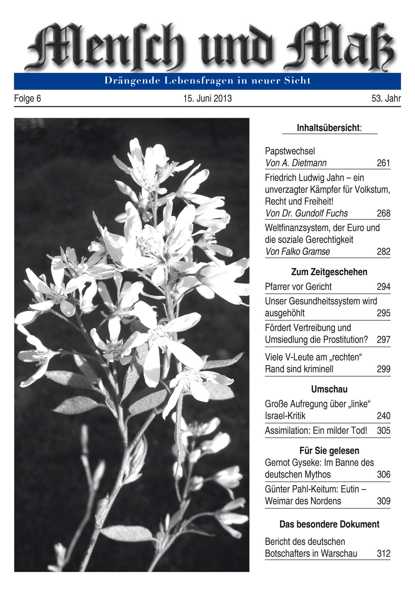 Titelseite Zeitschrift Mensch und Maß, Heft 06/2013